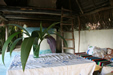 Casa Mariposa